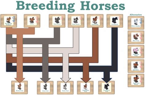 Horse Breeding Guide .